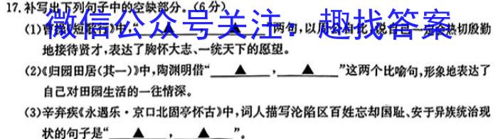 安徽省2023-2024学年度第一学期九年级学科素养练习（二）/语文