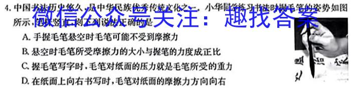 金考卷 百校联盟(新高考卷)2024年普通高等学校招生全国统一考试 领航卷(九)物理试题答案