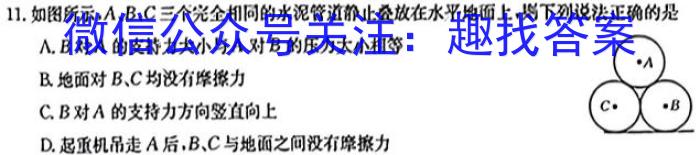 江西省瑞昌市2023-2024学年度上学期八年级期中考试试卷物理试卷答案