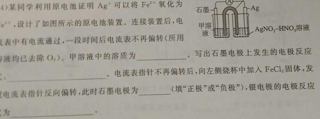 1内蒙古2024届高三11月联考化学试卷答案