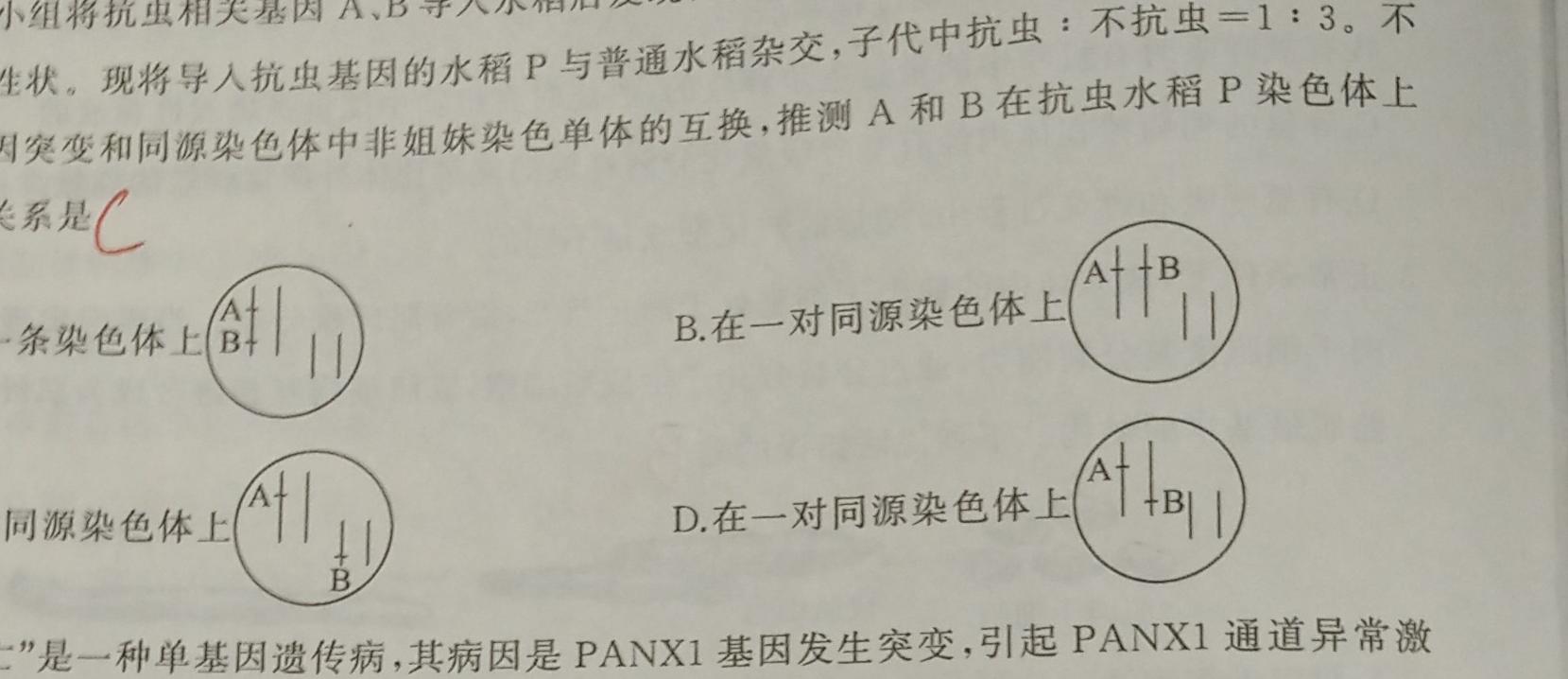 高考快递 2024年普通高等学校招生全国统一考试信息卷(二)2新高考版生物学部分