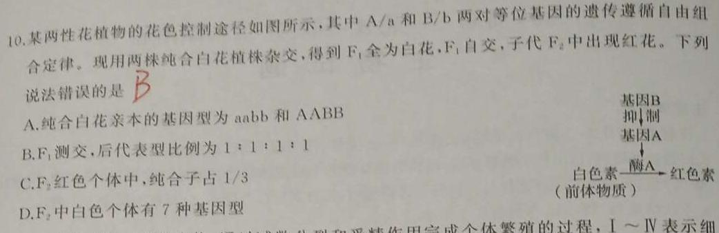 安徽省淮北市2023-2024学年九年级12月月考（无标题）生物学试题答案