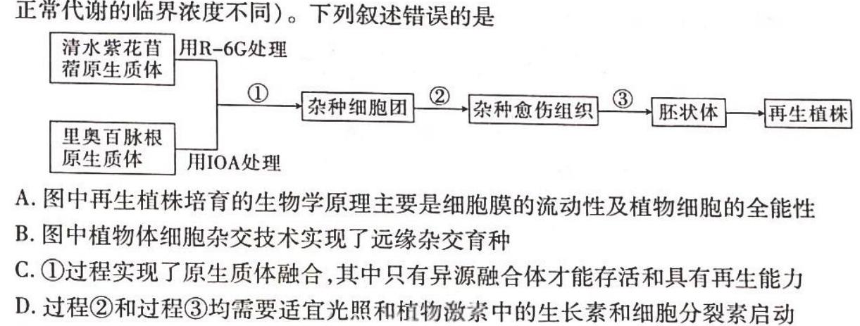 山东省潍坊市2023-2024学年高二上学期期中质量监测生物学试题答案