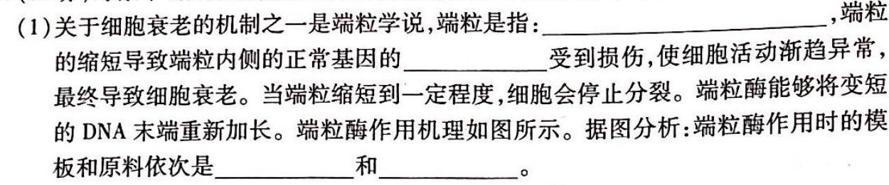 陕西省2025届高二12月联考生物学部分