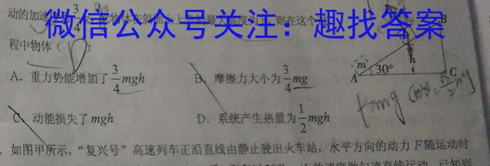 2024届河南省高二12月联考(24-222B)物理试卷答案