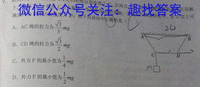 河南省2023-2024学年度高二年级12月八校联考物理试题答案