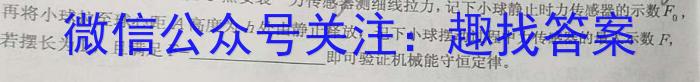 重庆市巴蜀中学2024届高考适应性月考(四)物理`