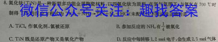 q河南省2024届九年级第三次综合素养评估化学