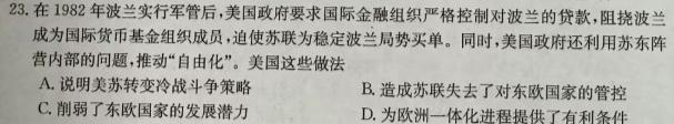 文博志鸿 2023-2024学年九年级第一学期期中教学质量检测历史