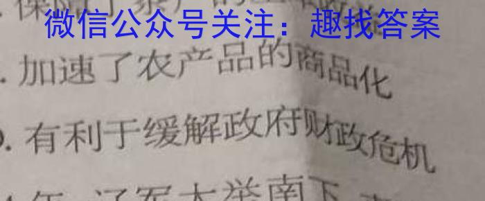 24届高三年级TOP二十名校调研考试七历史试卷