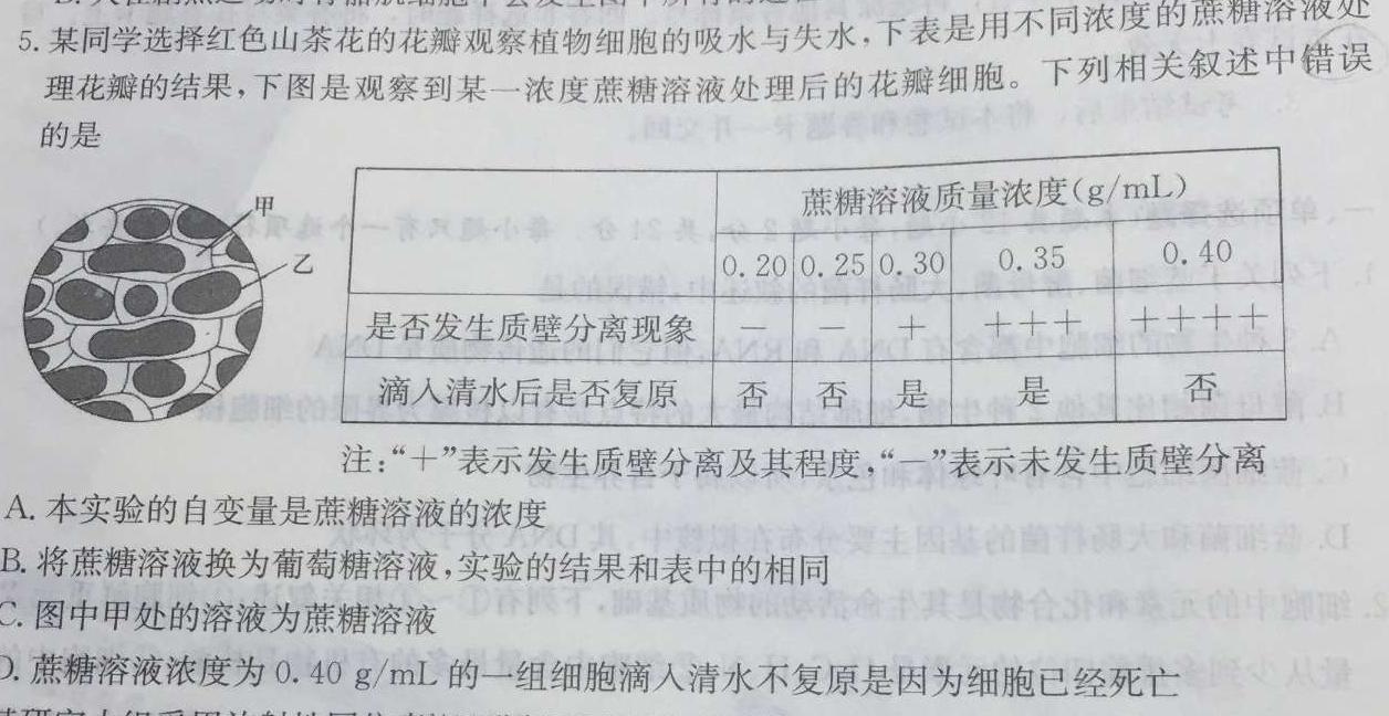 安徽省2023-2024学年高三上学期期中联考生物学试题答案