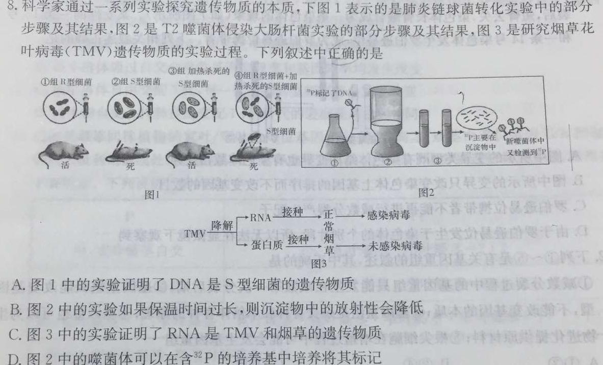 [开封一模]开封市2024届高三年级第一次模拟考试生物学部分