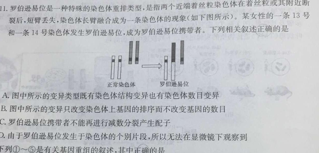 NT2023-2024学年第一学期12月高二阶段测试卷生物学试题答案