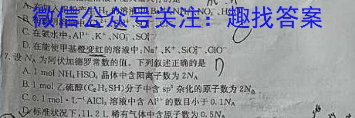 3陕西省2024届九年级教学素养测评（三）A化学试题