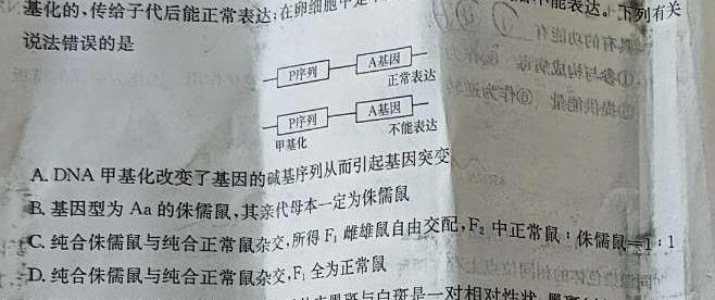 衡水金卷先享题2024答案数学分科综合卷新教材乙卷A生物