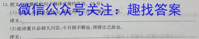 安徽省太和县民族中学2023秋九年级期中综合测评考试语文