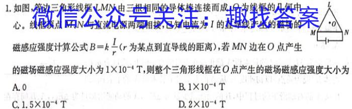 石室金匮·2024届高考专家联测卷(二)物理试卷答案