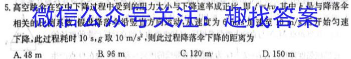 江西省瑞昌市2023-2024学年度上学期八年级期中考试试卷f物理