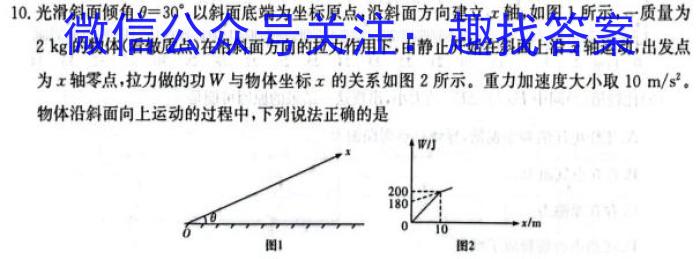 安徽省2023-2024学年度第一学期九年级学科素养练习（二）l物理