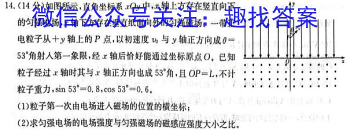 河北省2023~2024学年高三(上)期中考试(24-165C)物理试题答案