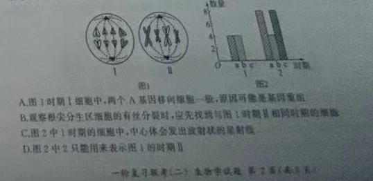 安徽省2023-2024学年上学期高三年级12月联考生物学部分