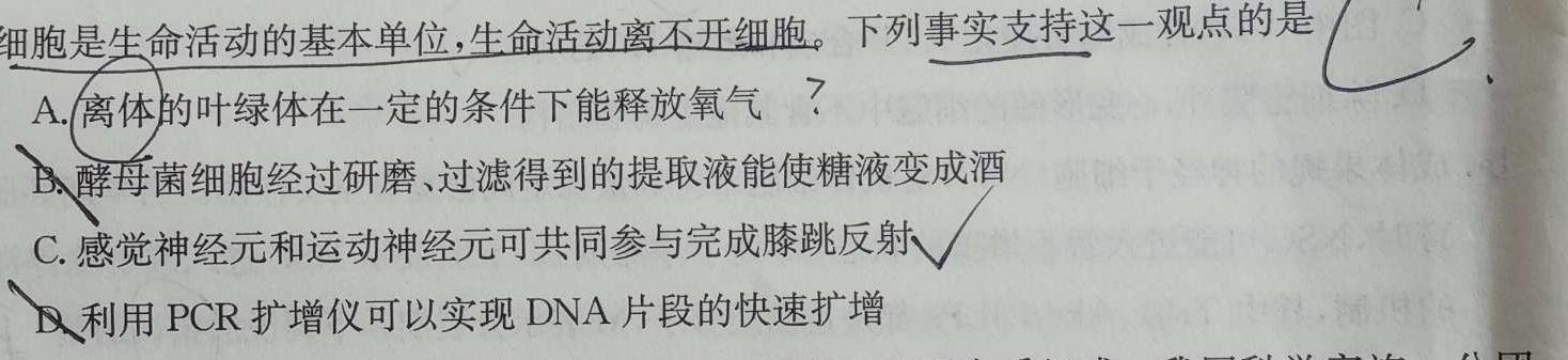 2023-2024学年陕西省高三试卷11月联考(黑色正方形包菱形)生物