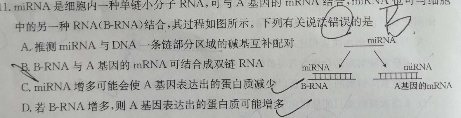 名校联考·贵州省2023-2024学年度秋季学期八年级（半期）质量监测生物