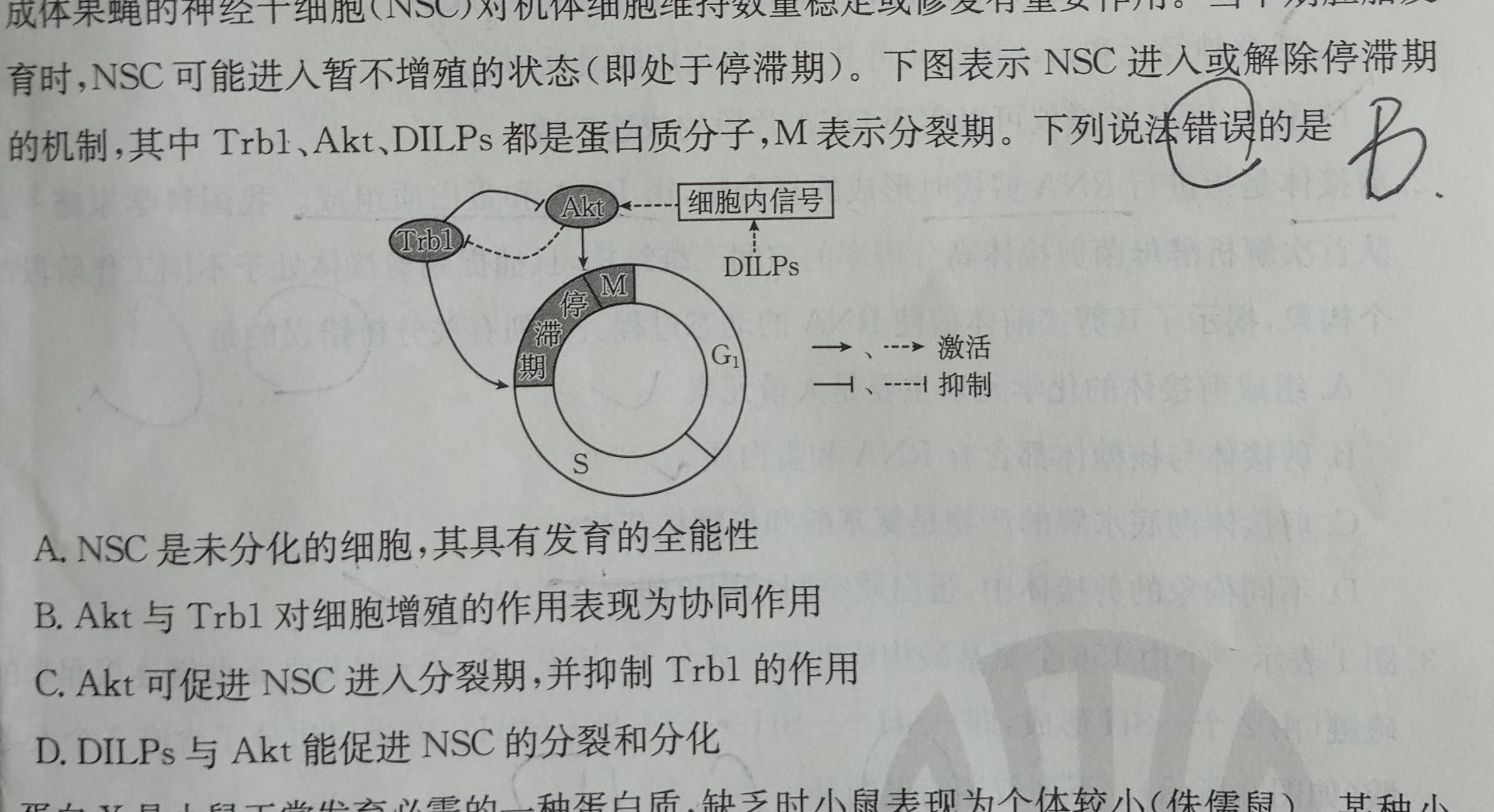 ［湖南大联考］湖南省2023-2024学年度高一年级上学期12月联考生物学试题答案