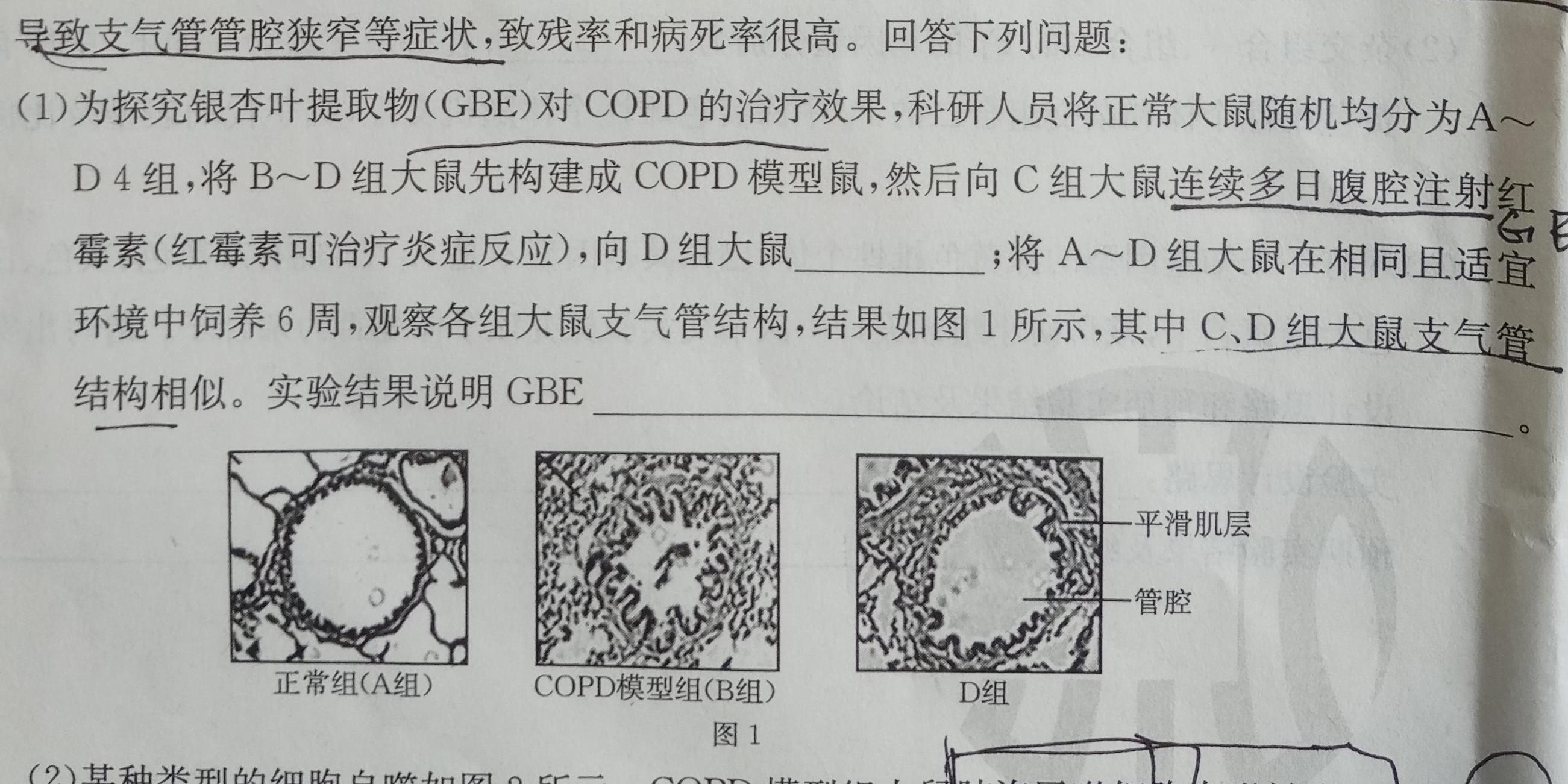 辽宁省名校联盟2023-2024学年高二上学期12月联合考试生物学试题答案