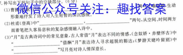 江西省2024届赣州经开区九年级期中考试语文