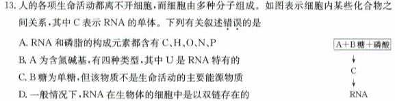 山西省2024届九年级阶段评估(二)[3L R]生物