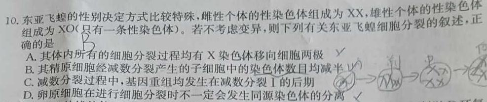 甘肃省2024届高三12月高三阶段检测生物