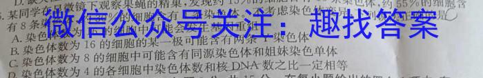 炎德英才大联考 雅礼中学2024届高三月考试卷(四)生物学试题答案