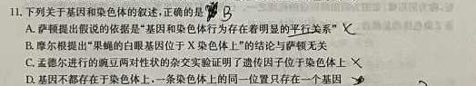 河北省沧衡八校联盟高三年级2023~2024学年上学期期中考试(24-138C)生物学试题答案