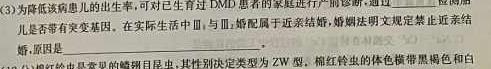 天一大联考 2023-2024学年高中毕业班阶段性测试(四)生物学试题答案