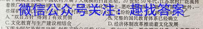 山东普高大联考高一11月联合质量测评历史试卷