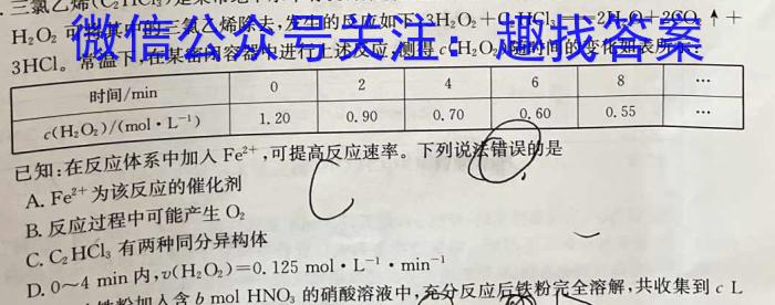 j"2024年全国普通高等学校招生统一考试·A区专用 JY高三模拟卷(一)化学