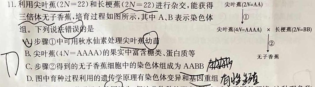 耀正文化 2024届名校名师测评卷(一)生物学试题答案