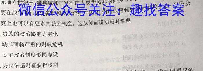 2024年普通高等学校全国统一模拟招生考试新未来高三11月联考历史
