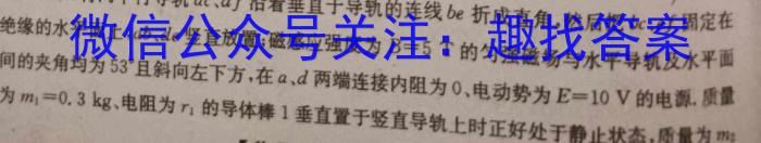 金考卷 百校联盟(新高考卷)2024年普通高等学校招生全国统一考试 领航卷(1)q物理