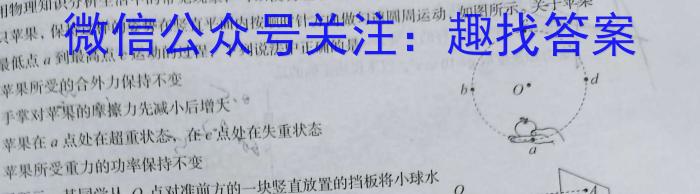 百校名师 2024普通高中高考模拟信息卷(三)物理试卷答案