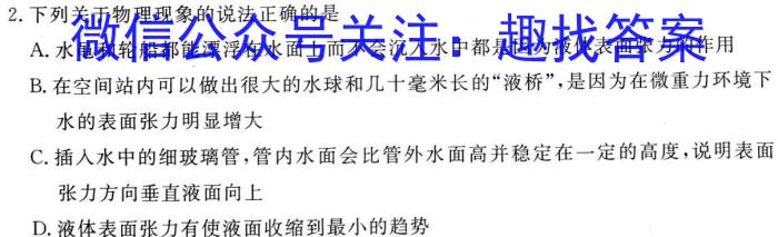 天一大联考 2023-2024学年安徽高二(上)期中考试 皖豫名校联盟&安徽卓越县中联盟l物理