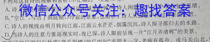 2023-2024学年广西省高一选科调考第二次联考语文