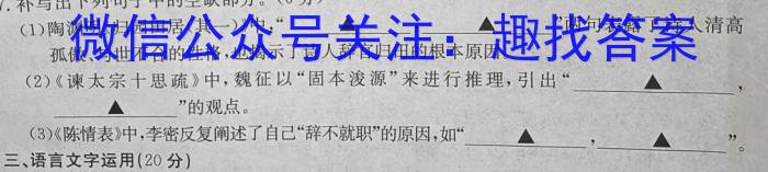 2024新高考单科综合卷 XGK(二)语文