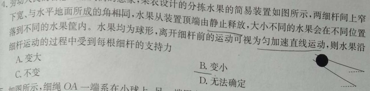 辽宁省2023-2024学年度高二年级上学期12月月考物理试题.