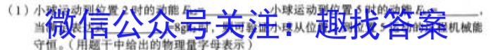 贵州省三新联盟校高一年级2023年11月联考物理试卷答案