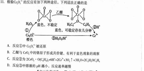 1［河北大联考］河北省邢台市五岳联盟2023-2024学年高三（上）期中考试化学试卷答案