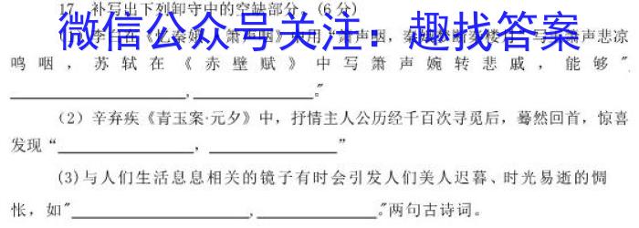 A佳教育·2023年11月高三联考(11月)/语文