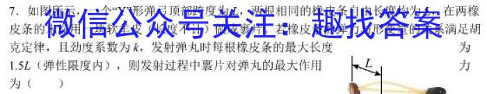 2023~2024学年度高一高中同步月考测试卷 新教材(四)l物理