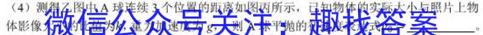 石室金匮 成都石室中学2023-2024学年度上期高2024届11月半期考试物理试卷答案